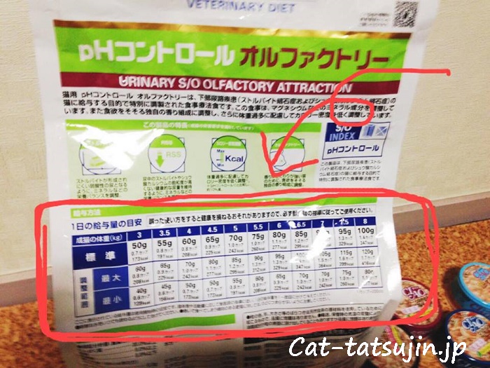 猫の健康のために知っておきたい基本!猫の餌の量と回数